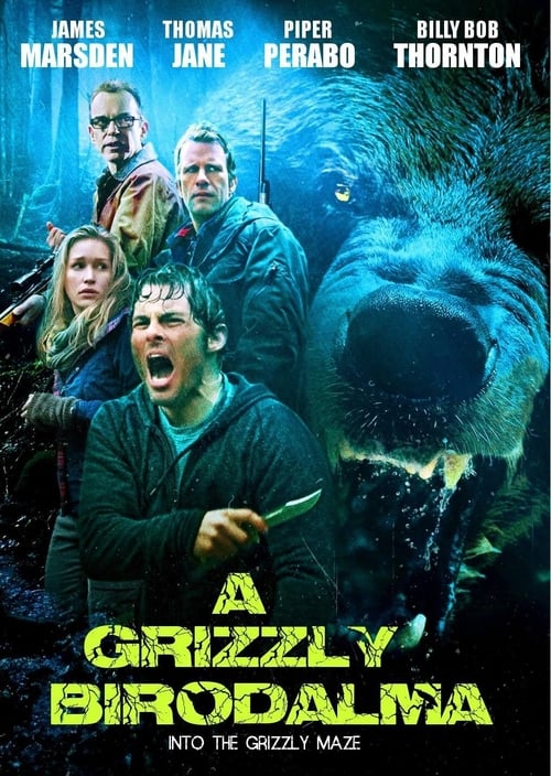 A-grizzly-birodalma-2015