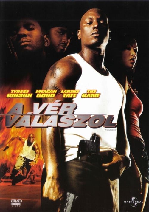 A-ver-valaszol-2006