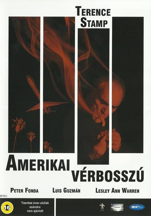 Amerikai-verbosszu-1999