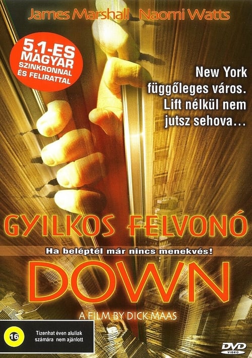 Gyilkos-felvono-2001
