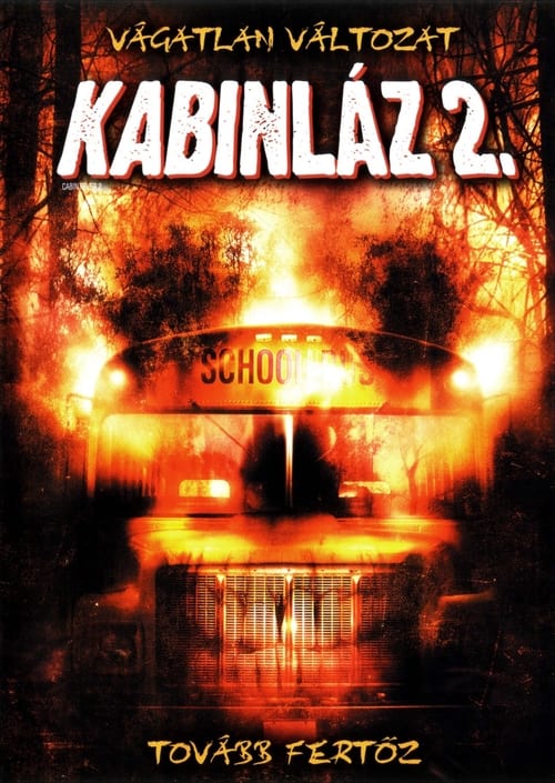 Kabinlaz-2-2009