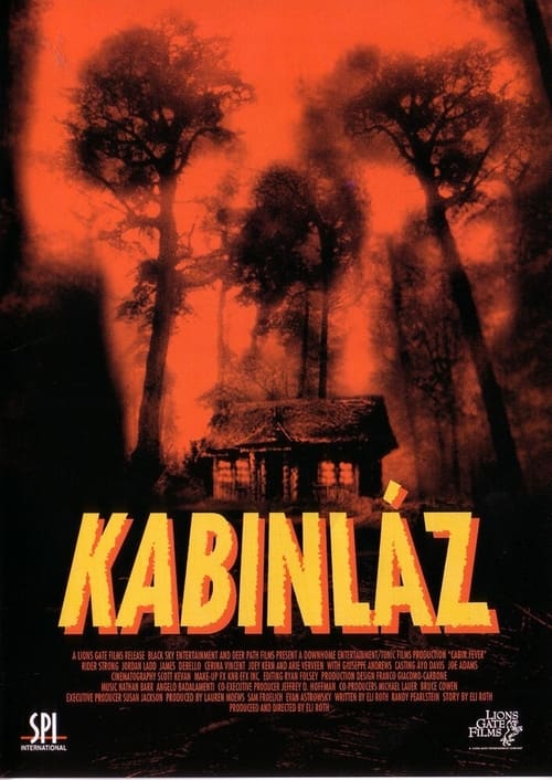 Kabinlaz-2003