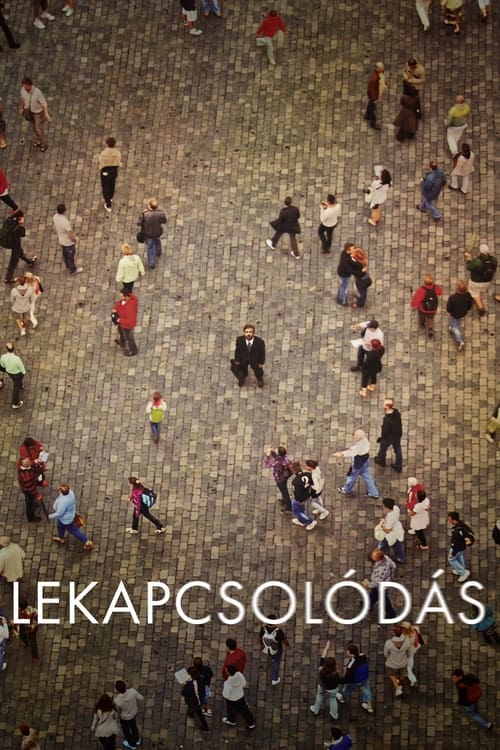 Lekapcsolodas-2013