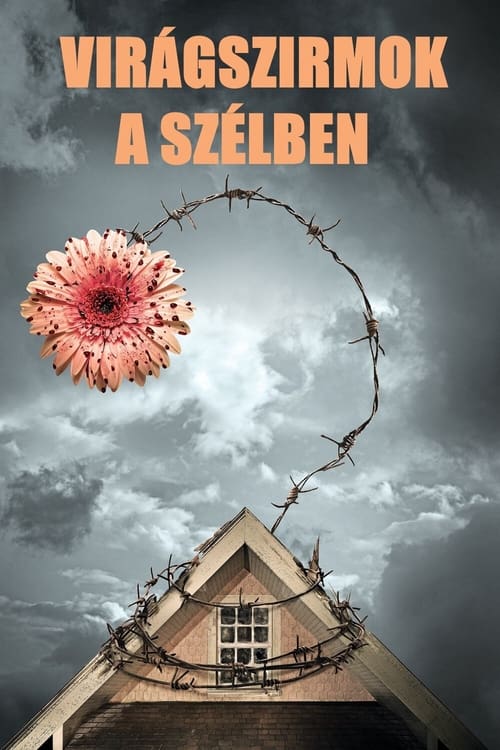 Viragszirmok-a-szelben-2014